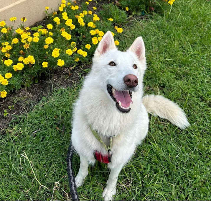 Photo of Sasha