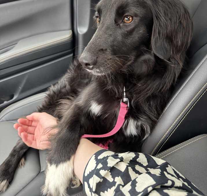 Photo of Charlee