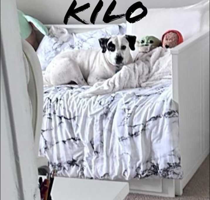 Photo of Kilo