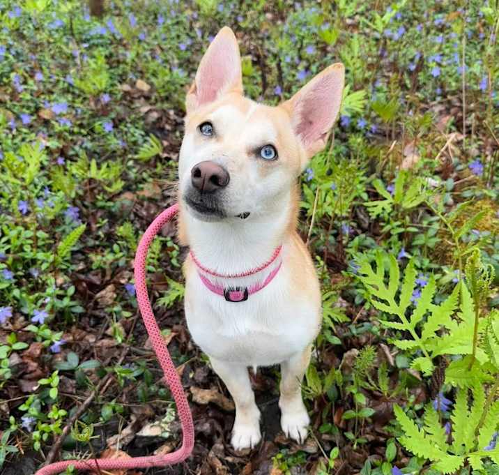 Photo of Farrah