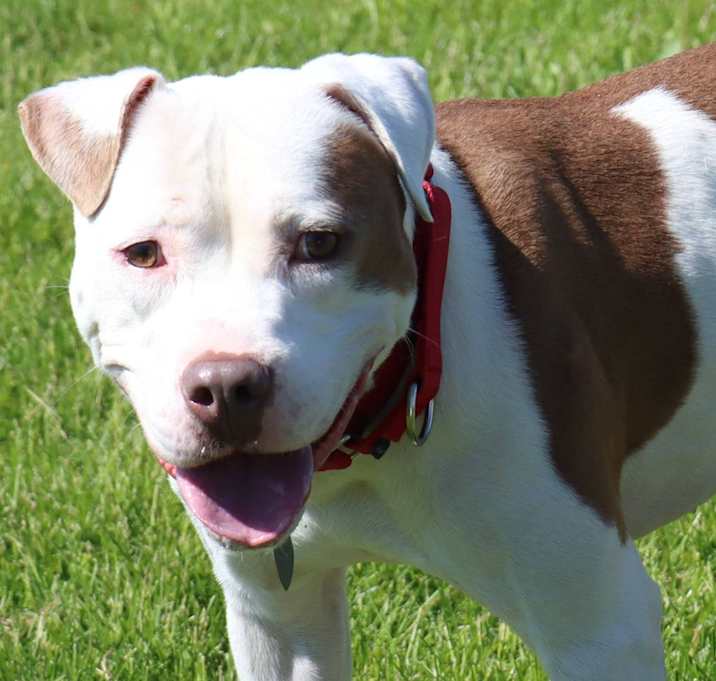 Photo of Asher