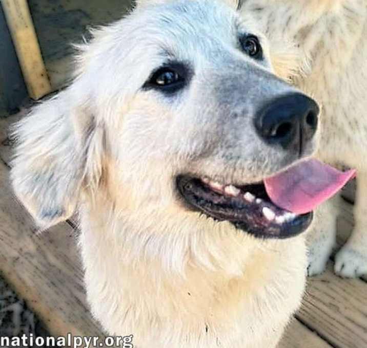 Photo of Daize in AL - Playful & Sweet!