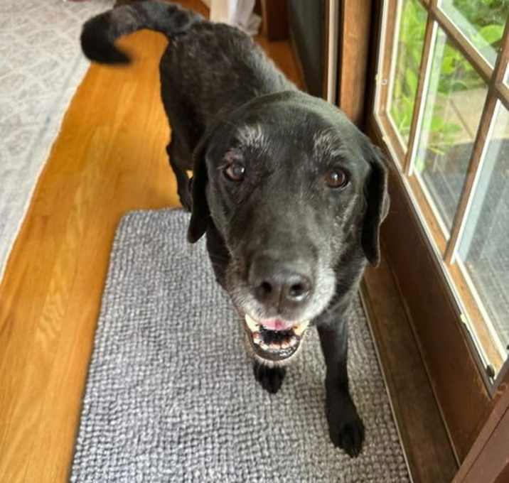 Photo of MAGGIE