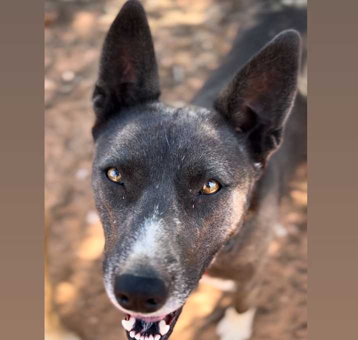 Photo of Tortilla