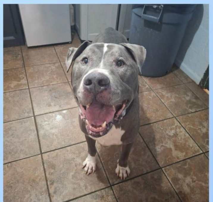 Photo of Rocky