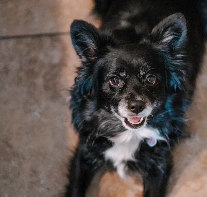Photo of Nellie