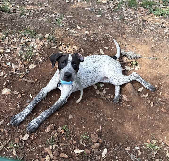 Photo of Remington