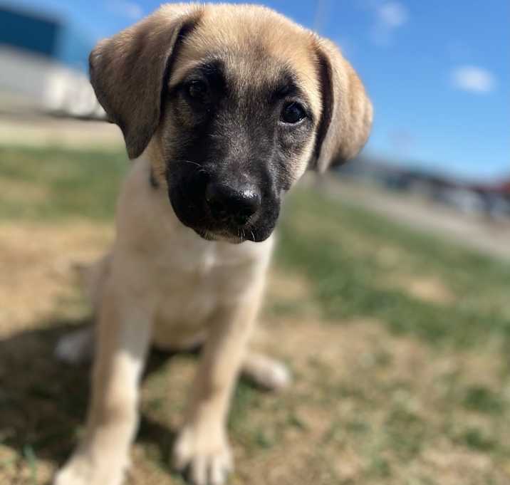 Photo of Wish
