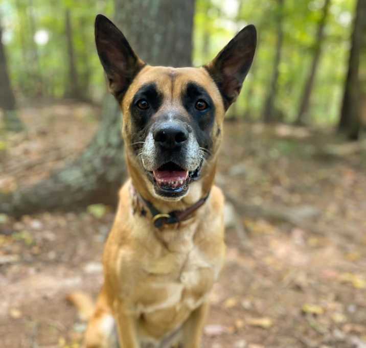 Photo of RBG