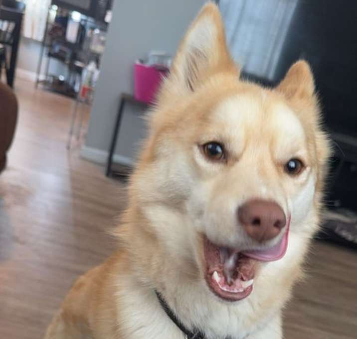 Photo of Cooper