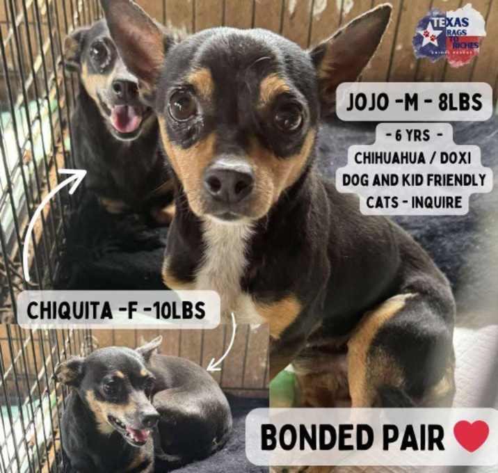 Photo of Chiquita