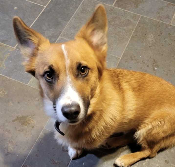 Photo of Squishy