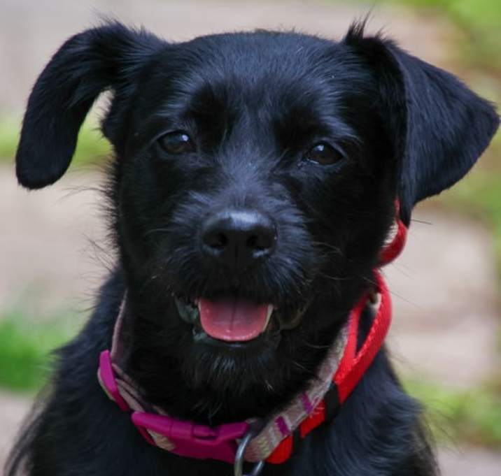 Photo of Missy Wiggles