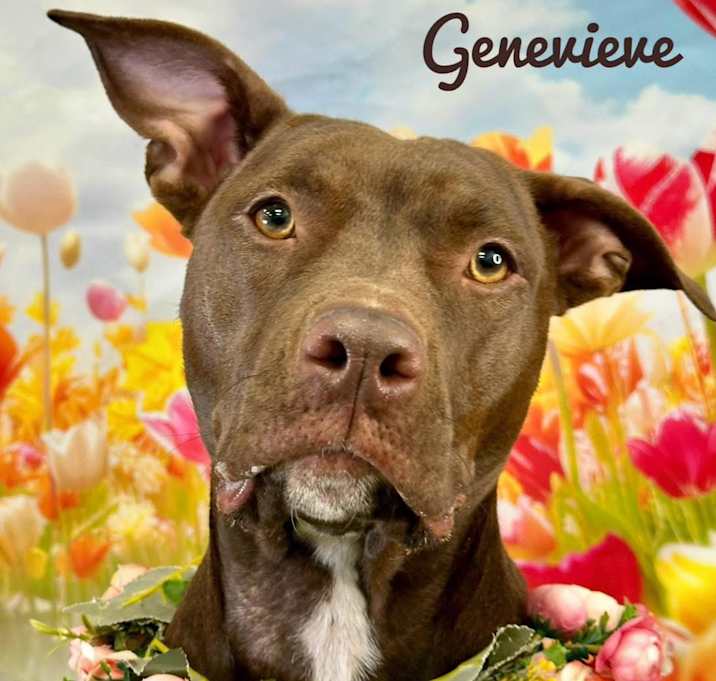 Photo of Genevieve