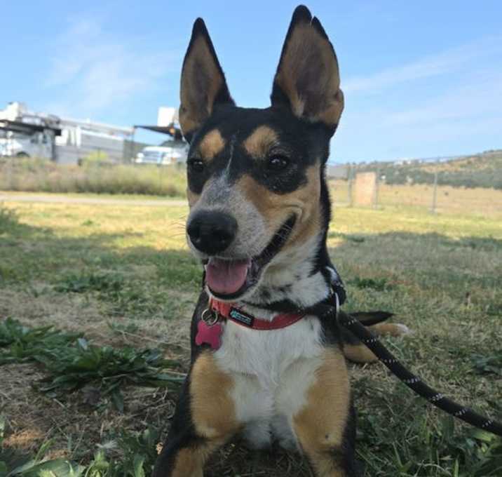 Photo of Janie