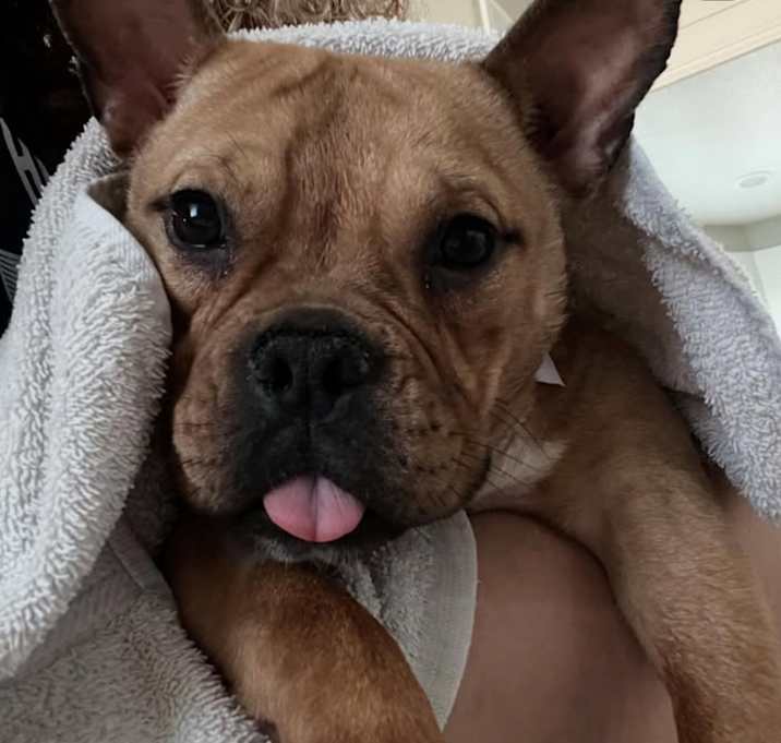 Photo of Sundae