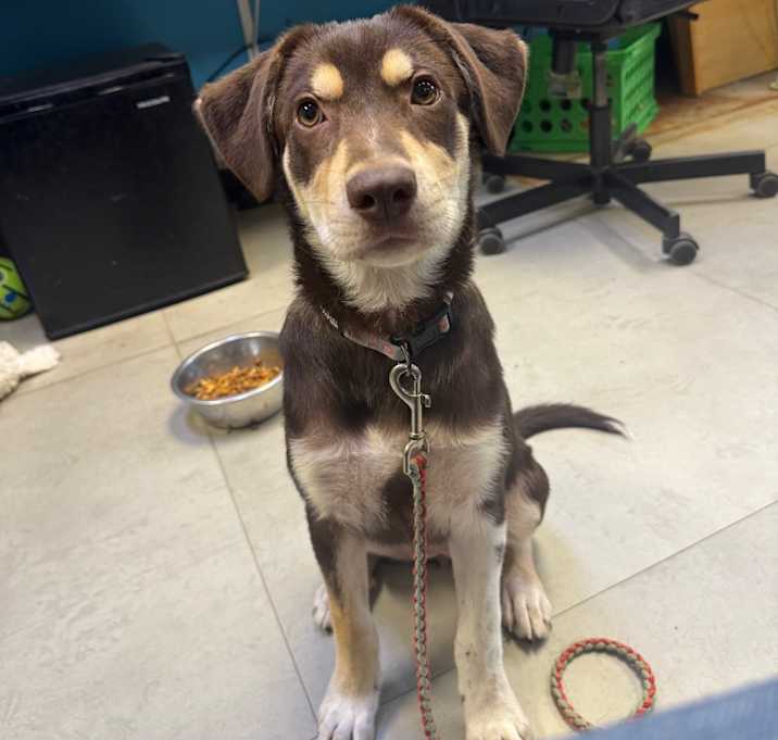 Photo of Aspen