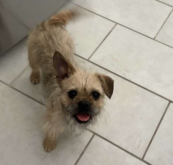 Photo of Lucy