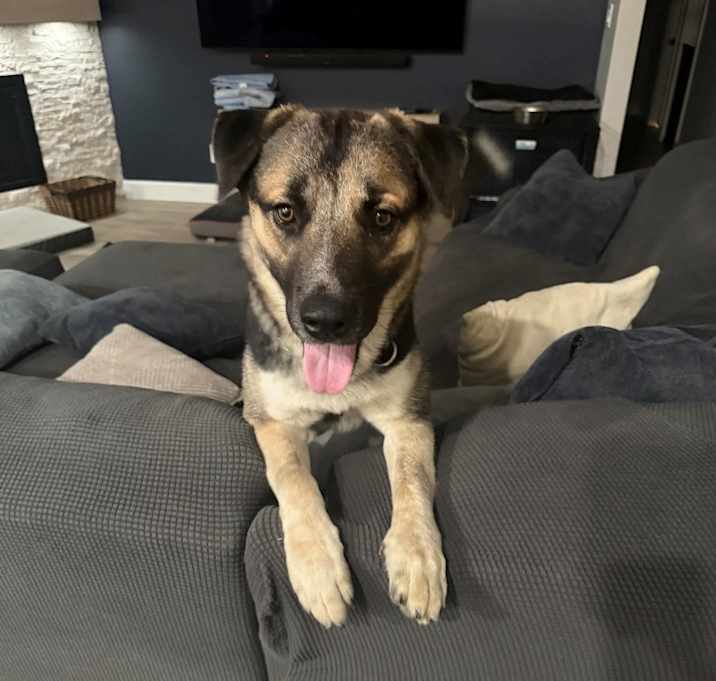 Photo of Rocky