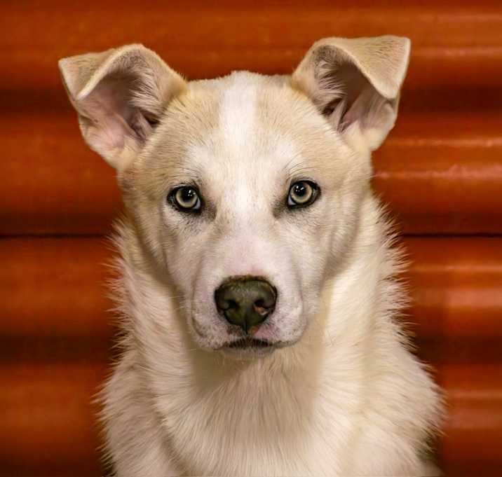 Photo of Rocko