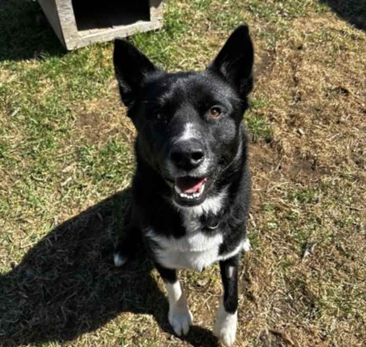 Photo of Boots
