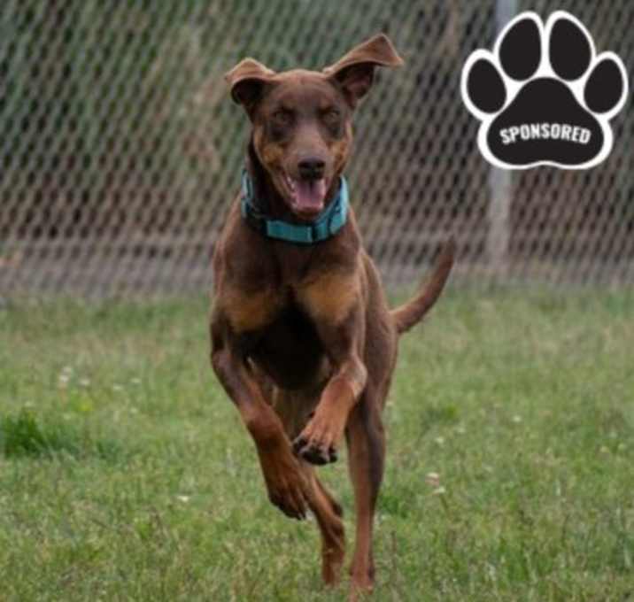 Photo of Roxie