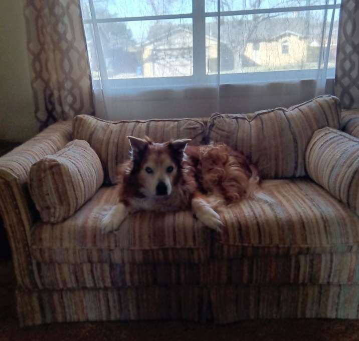 Photo of Belle