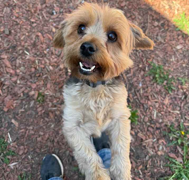 Photo of Oliver