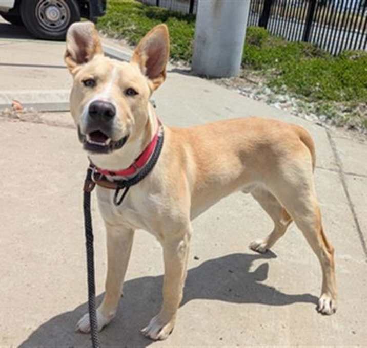 Photo of WILEY