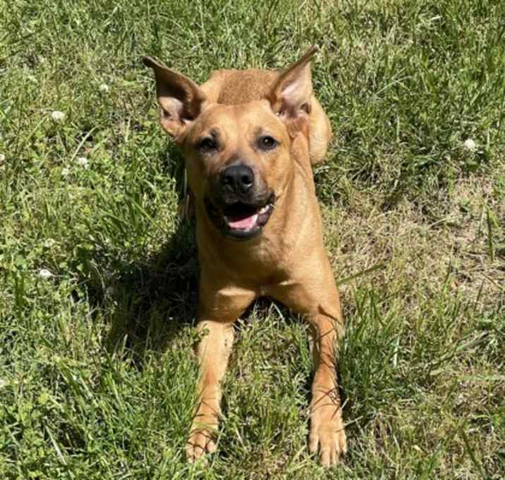Photo of Hope