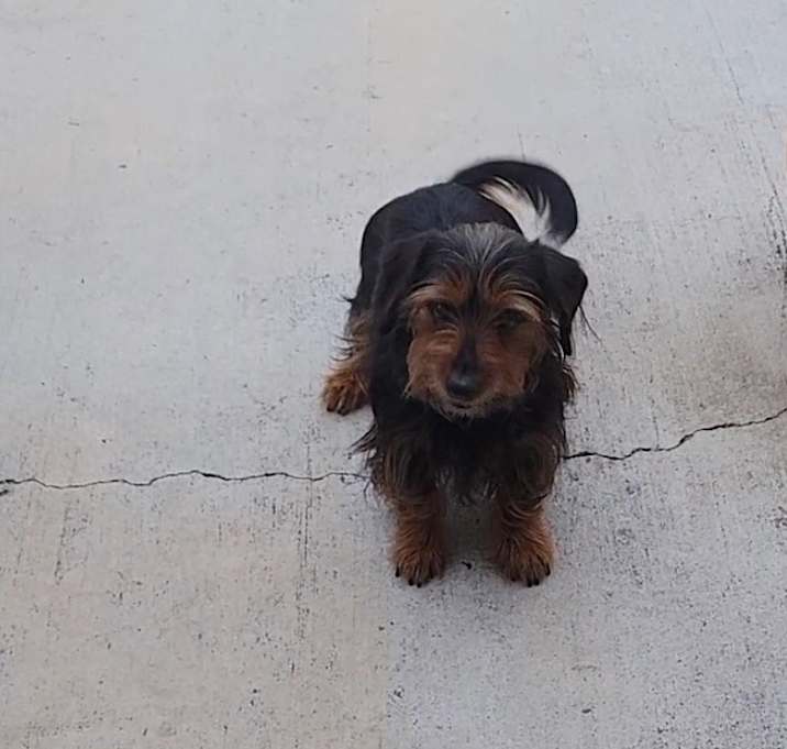 Photo of Sister