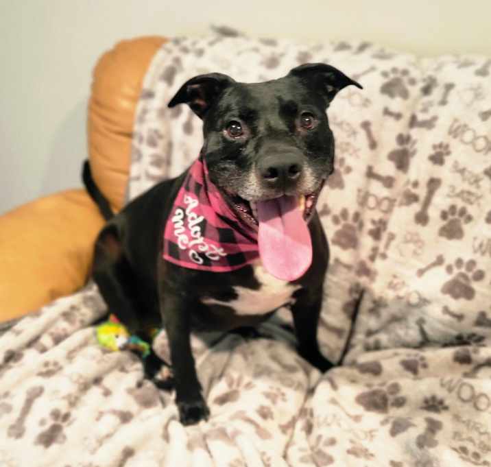 Photo of Cali