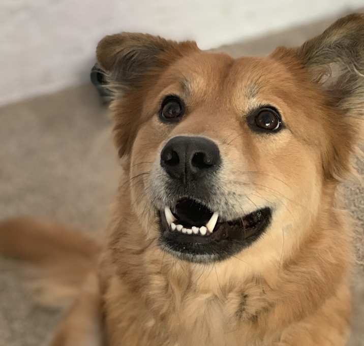Photo of Evie