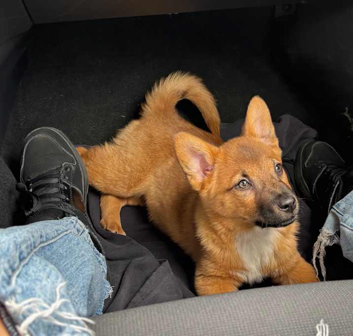 Photo of Athena
