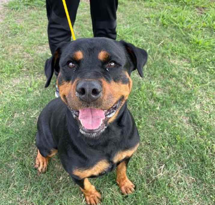 Photo of LEIA