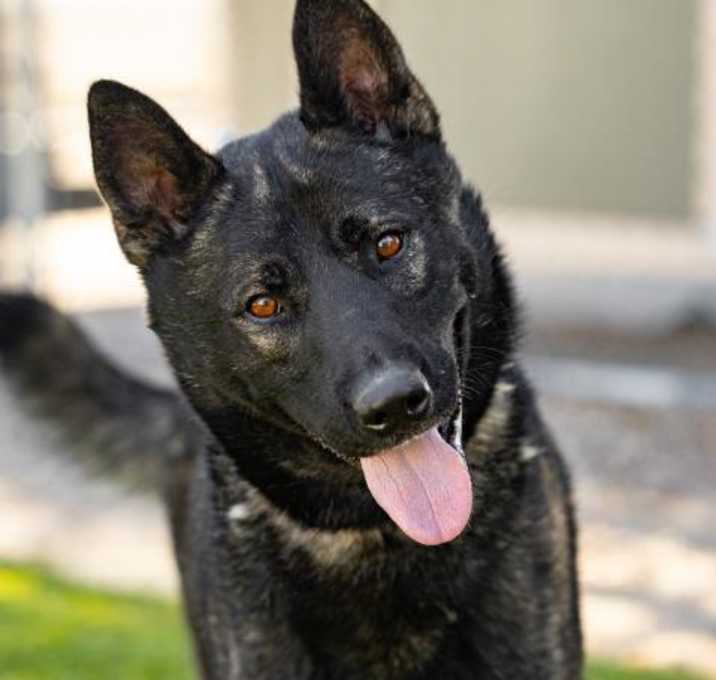 Photo of *JUDE