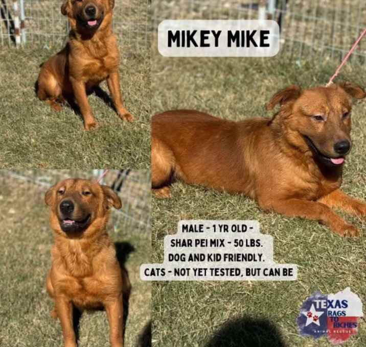 Photo of Mikey Mike