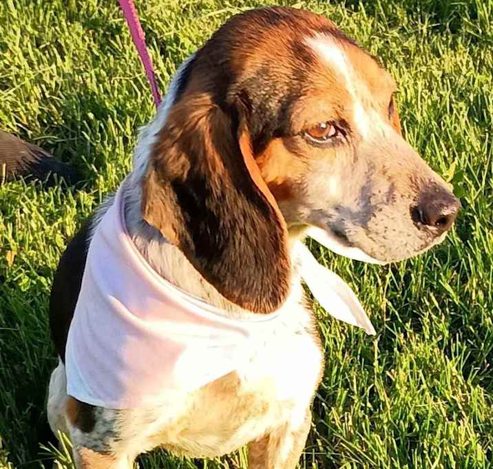 Photo of Maisy