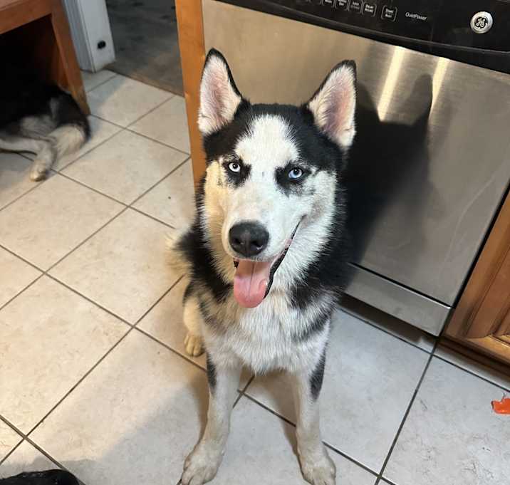 Photo of Tuffy