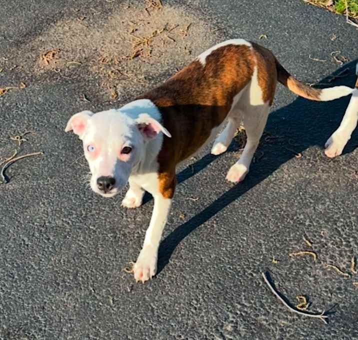 Photo of Faith