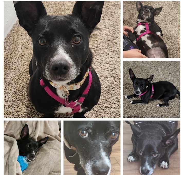 Photo of Nellie