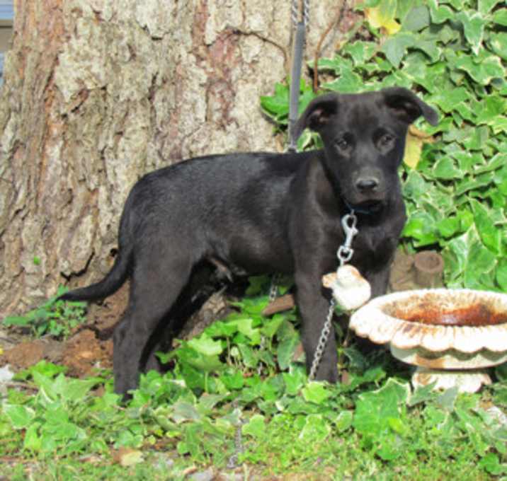 Photo of Gus
