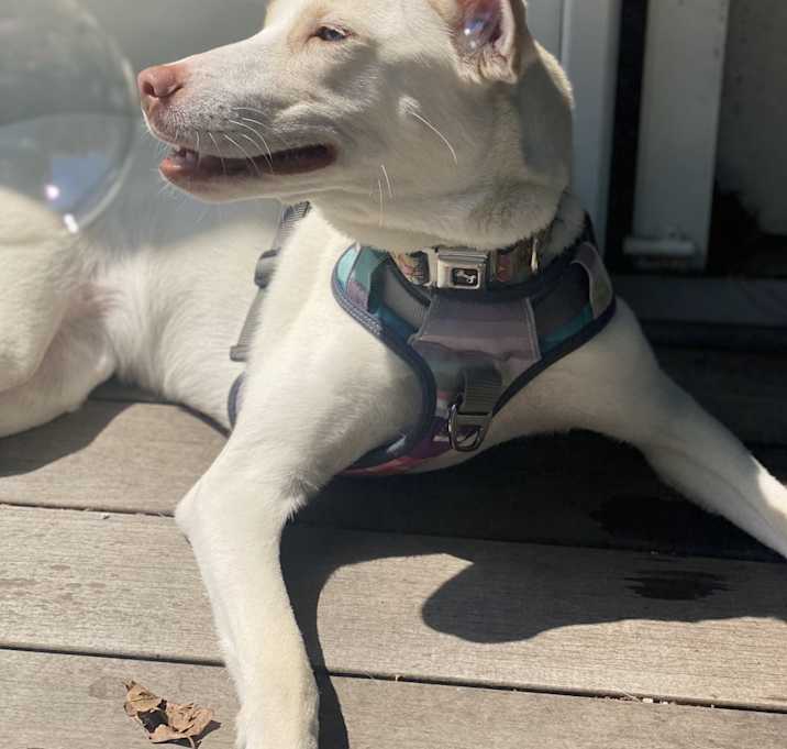 Photo of Nami