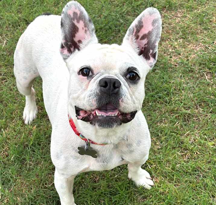 Photo of Betty
