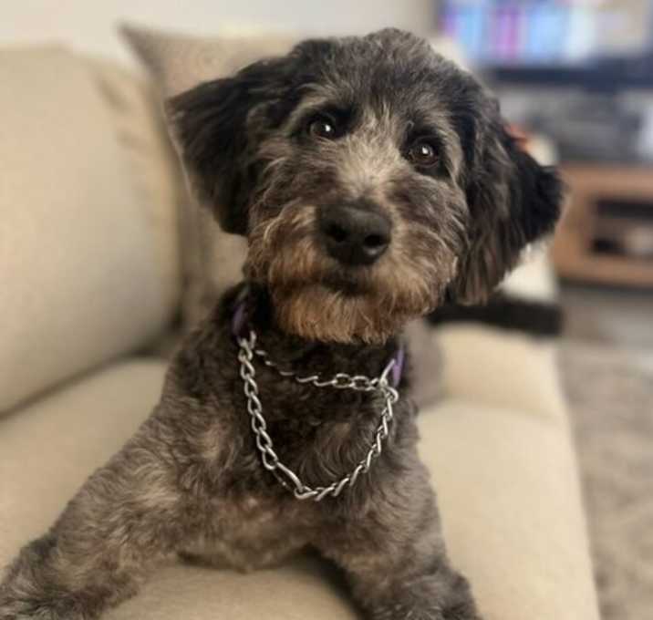 Photo of Dora