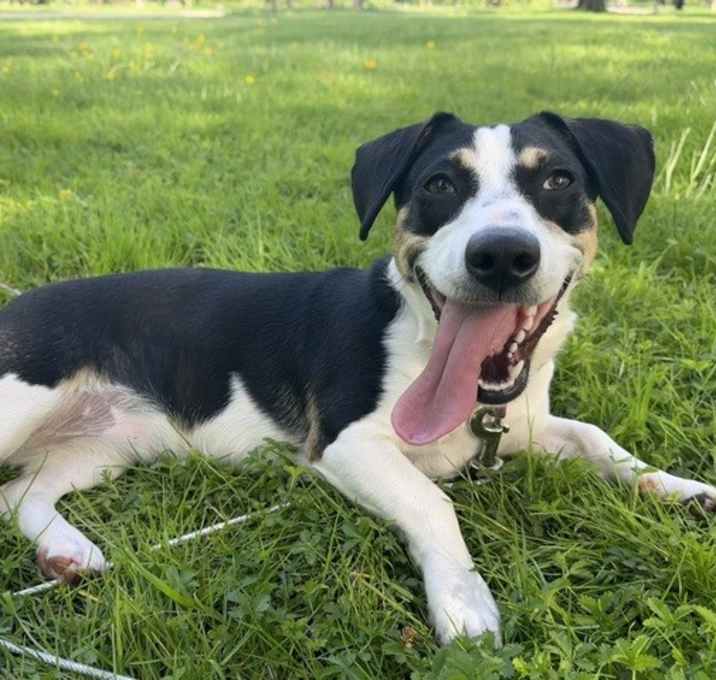 Photo of Bella