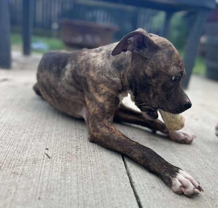 Photo of Jada