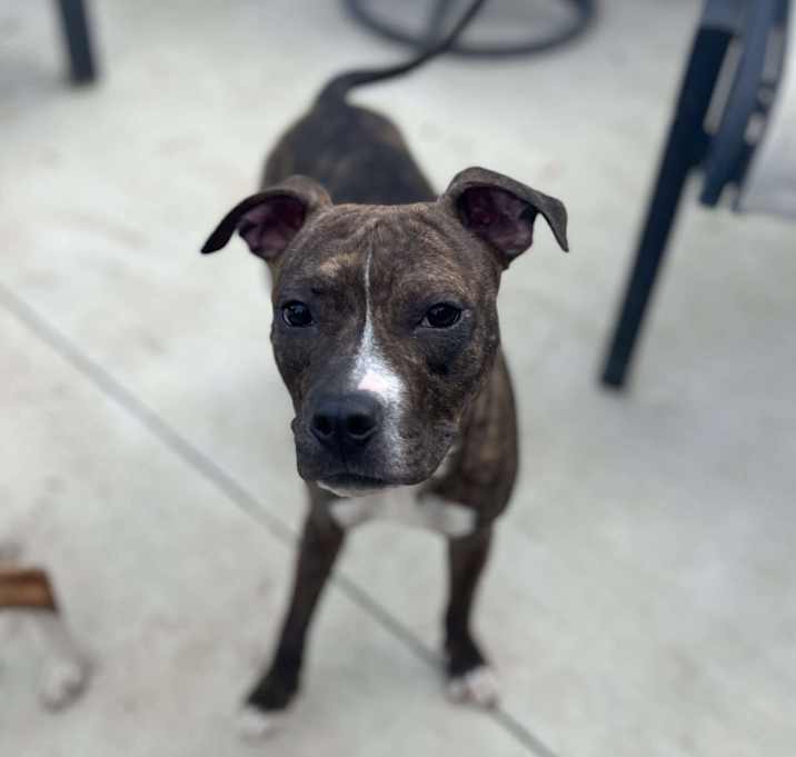 Photo of Penelope