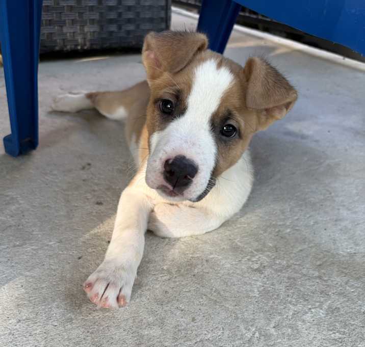 Photo of Athena