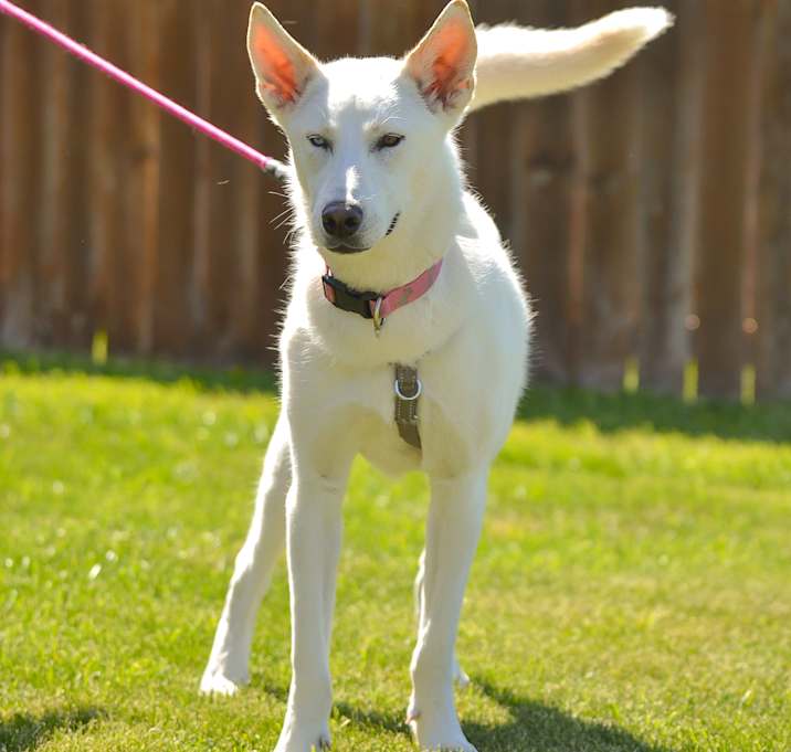 Photo of Kiki